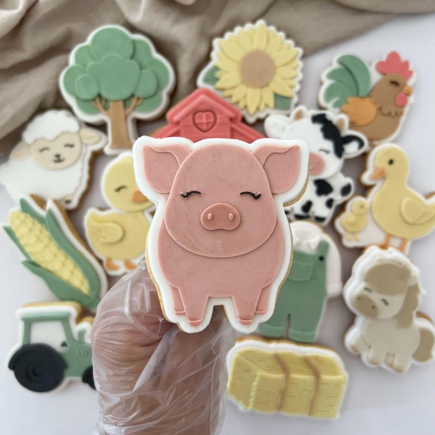 BAUERNHOF (2) 15 - Schwein (Ausstechform und Stamp)