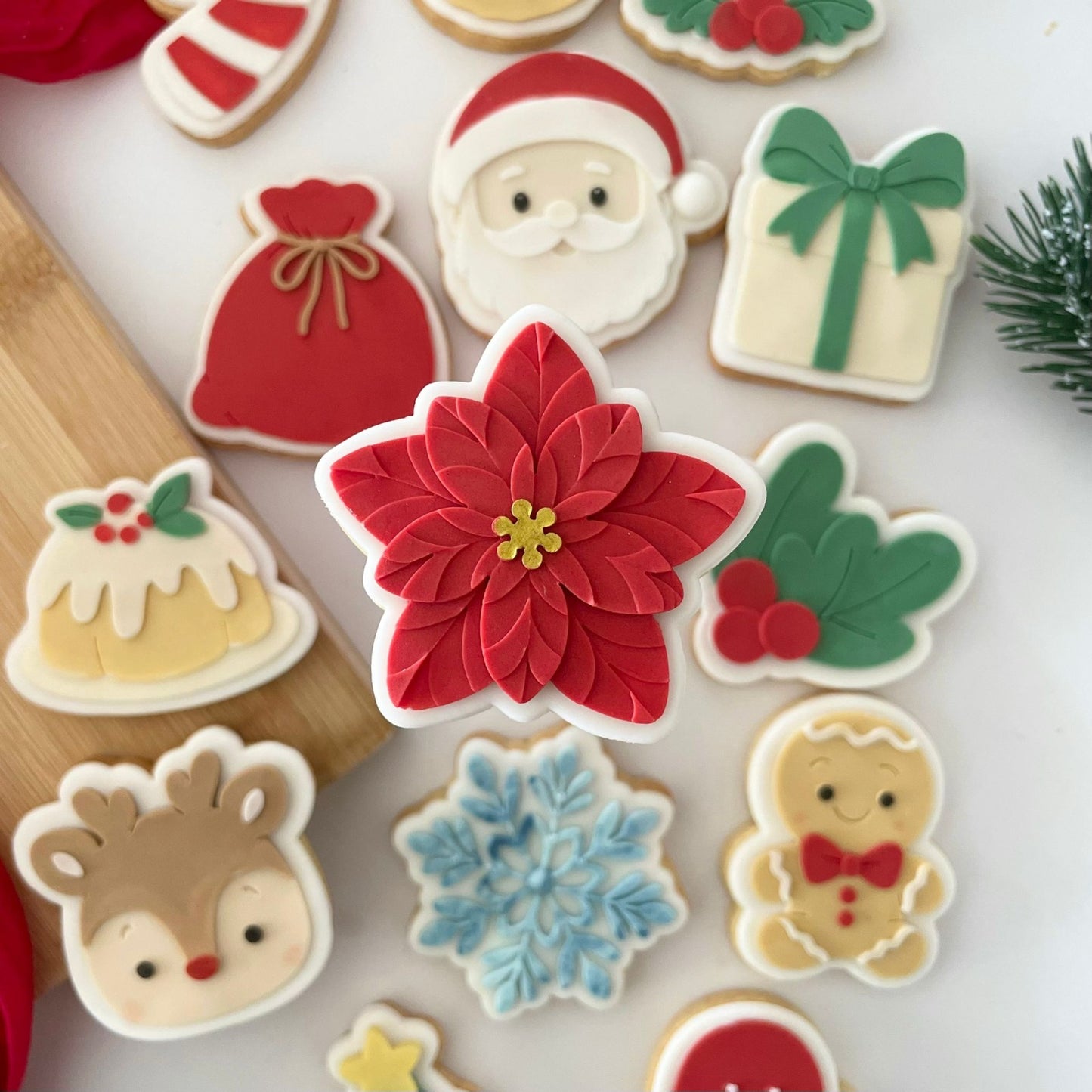 WEIHNACHTEN 2025 - 164 Weihnachtsstern - MINI