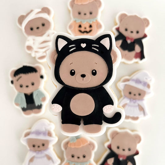 3120 - Teddybärkatze