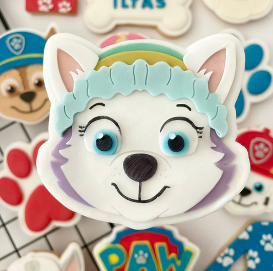 PAW PATROL - 5 Everest