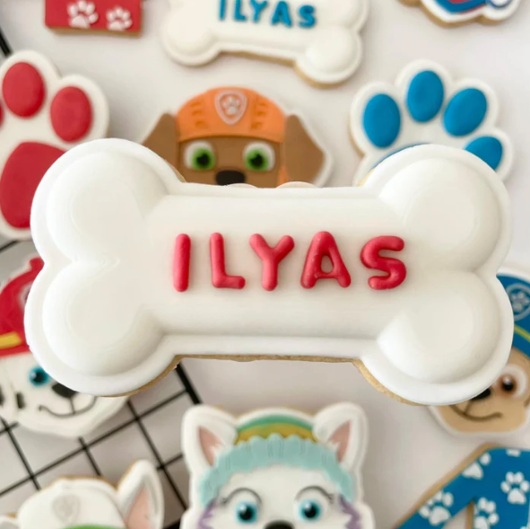 PAW PATROL - 10 Knochen