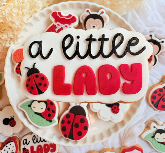 MARIENKÄFER 5 - a Little Lady Bug