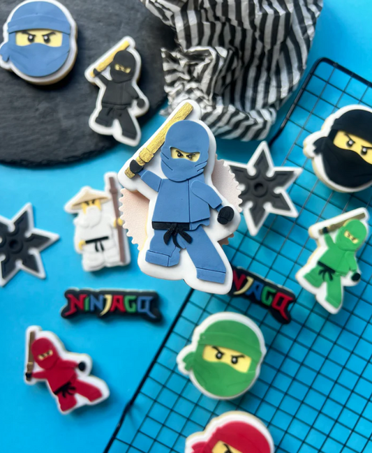 NINJAGO 5 - Ninja
